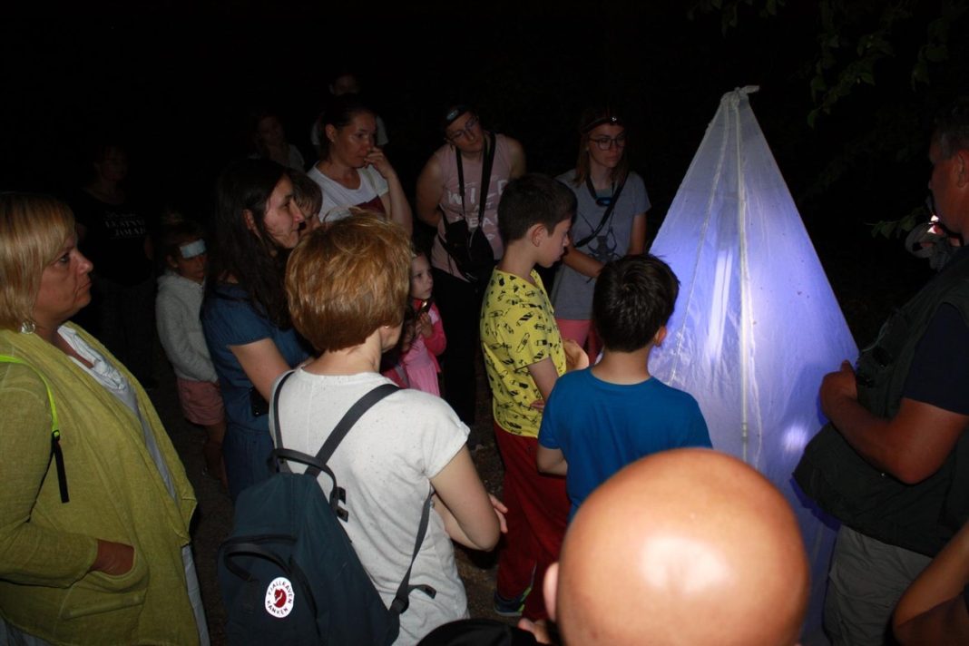 radoboj leptiri 2024