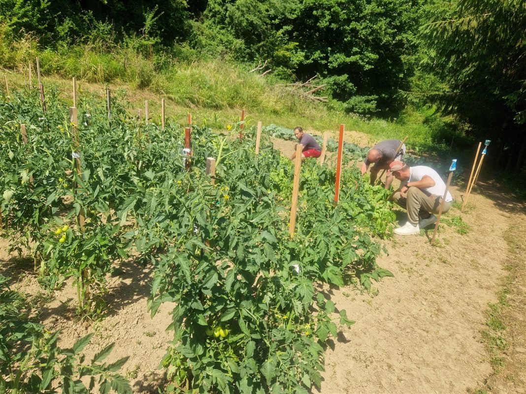 đurmanec moji dani 2