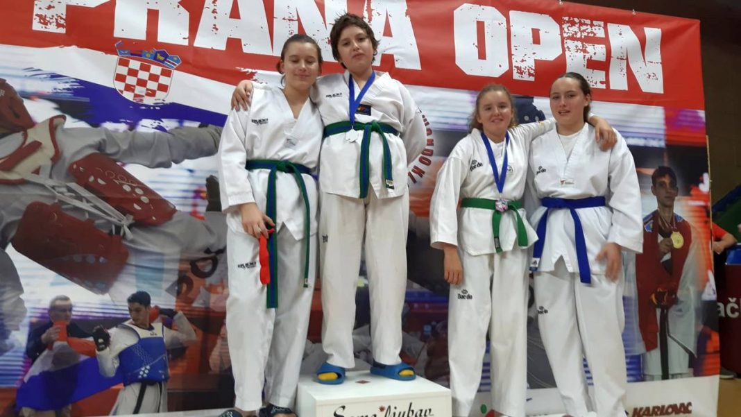 Taekwondo Kapelščak
