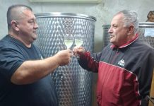 Martinje – dan kad se slavi trud i muka vinogradara i kuša mlado vino; opstaju uporni koji čuvaju djedovinu