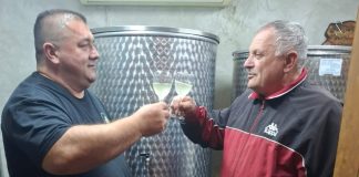 Martinje – dan kad se slavi trud i muka vinogradara i kuša mlado vino; opstaju uporni koji čuvaju djedovinu