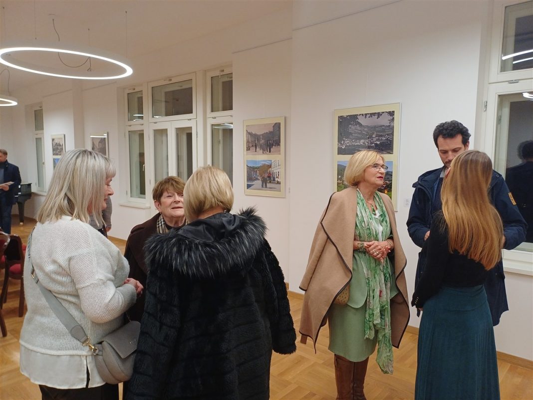 donja stubica izložba 8